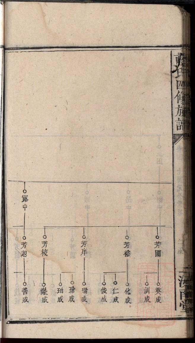 孙家家谱排