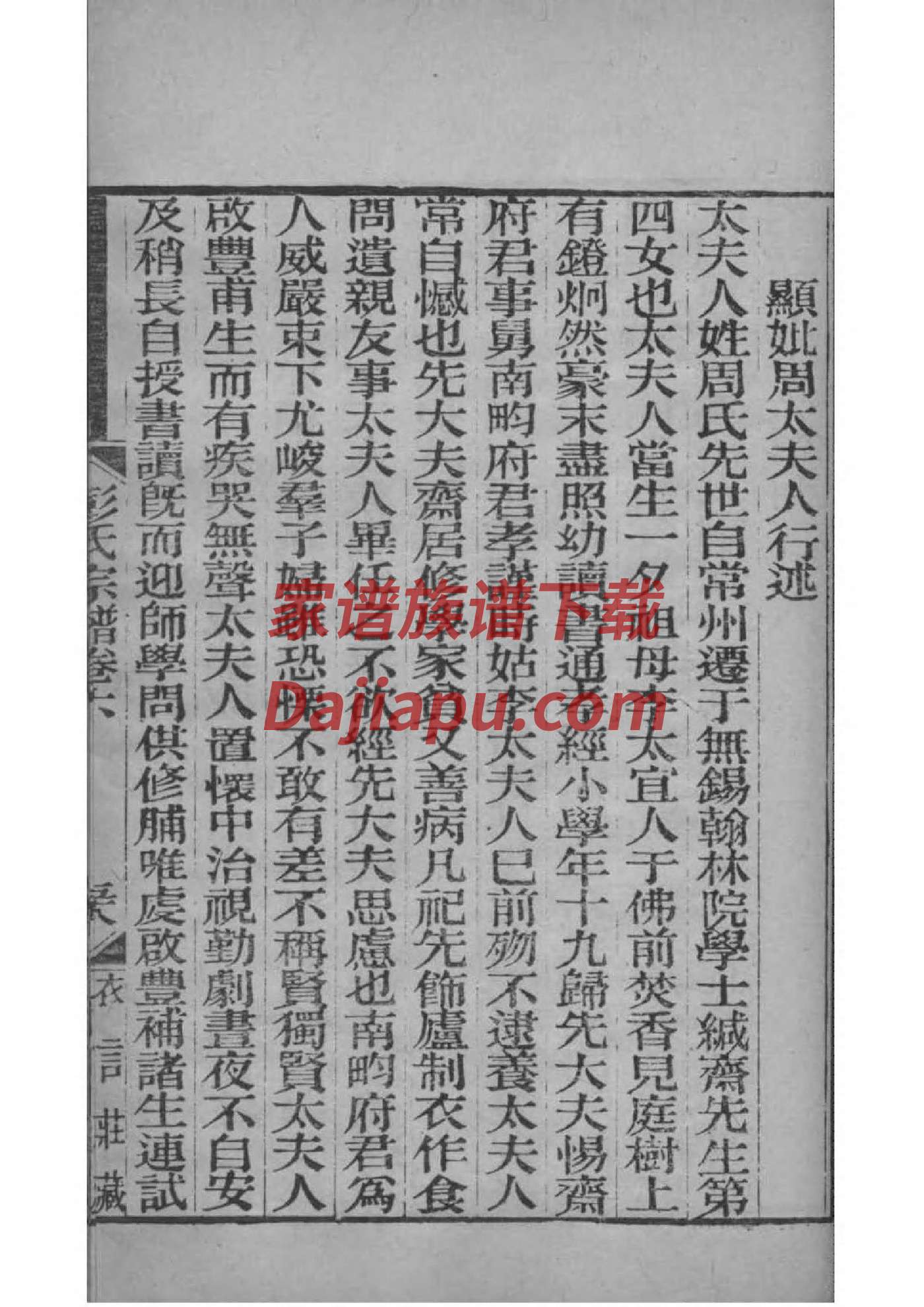 盛家族谱