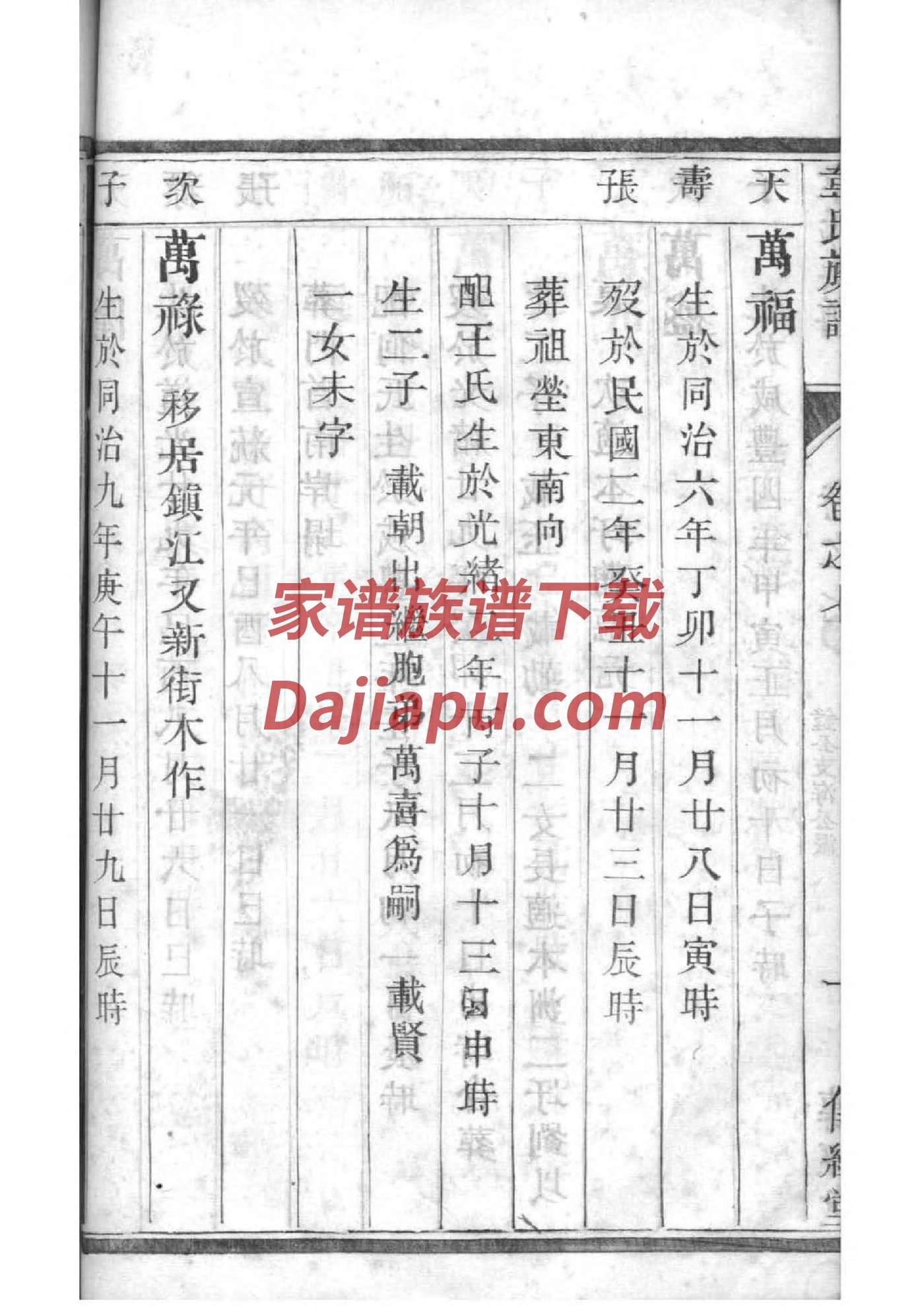 曾氏家族谱