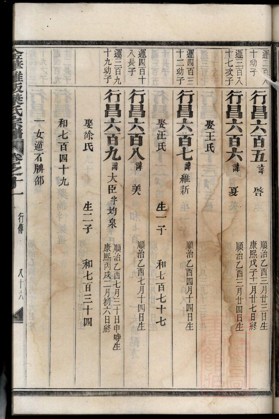 家谱制作模板下载
