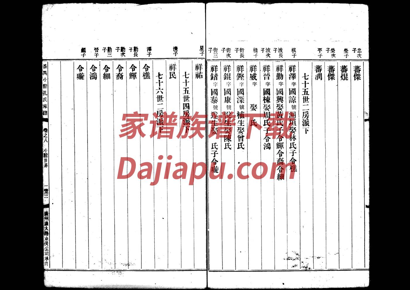 高邮天山家谱会视频