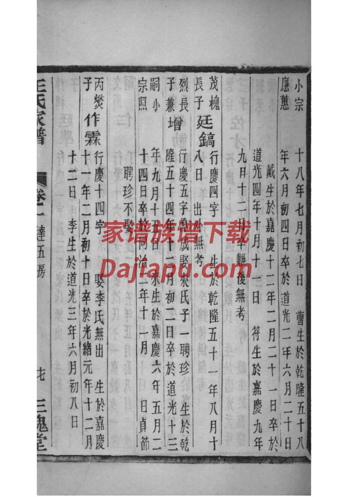 次姓族谱字辈查询全部