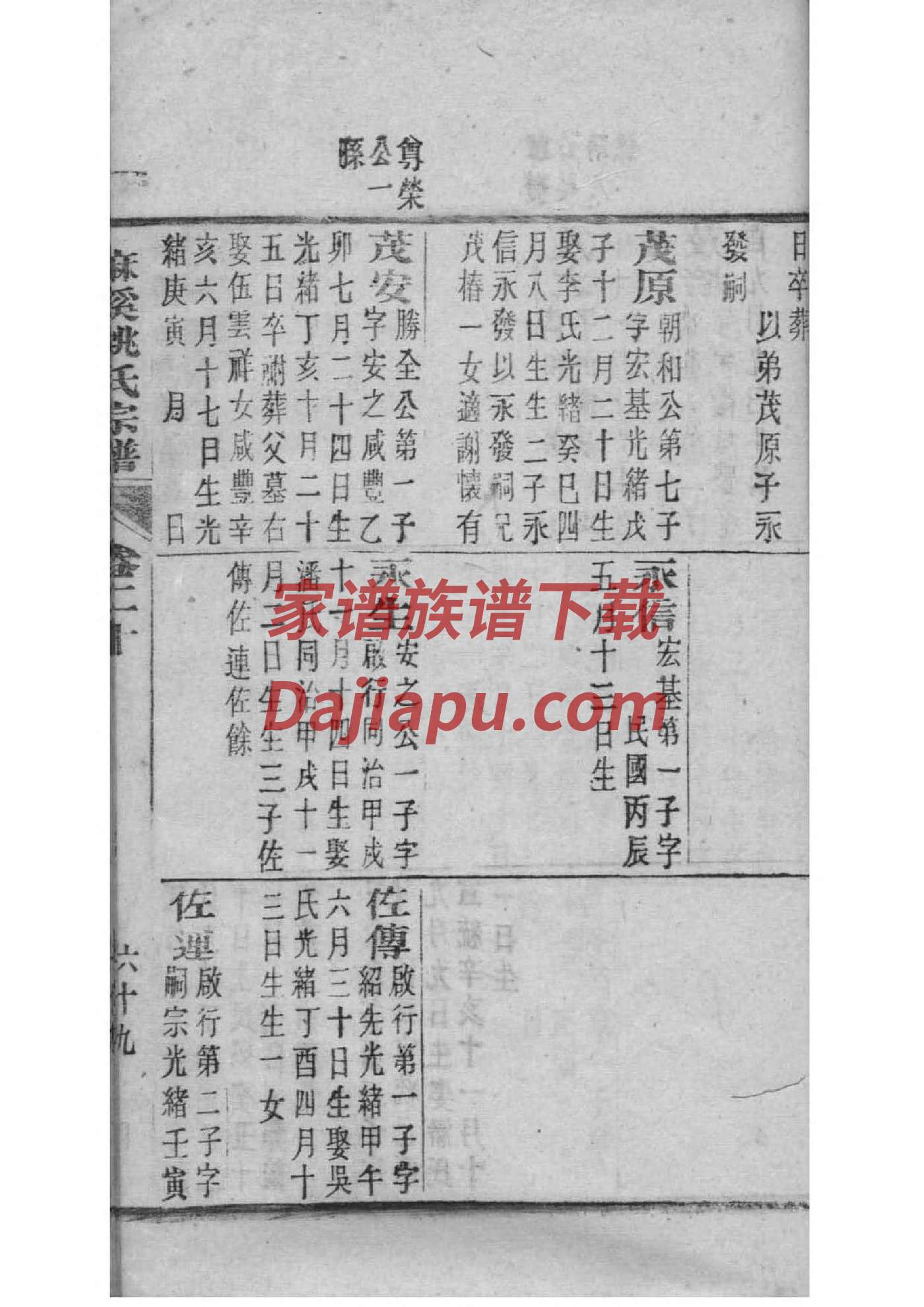 闻氏辈分排列顺序