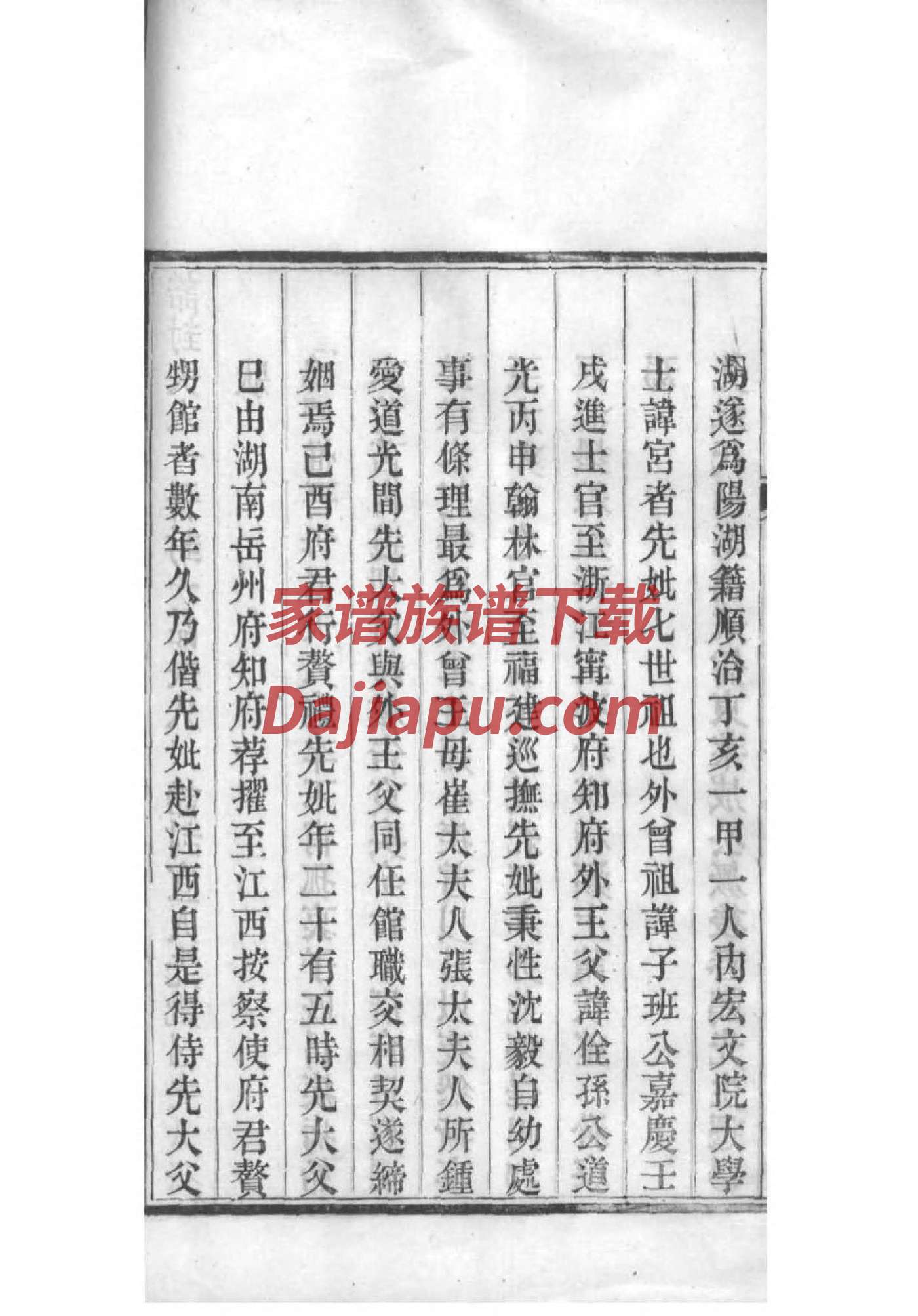 族谱查询结果