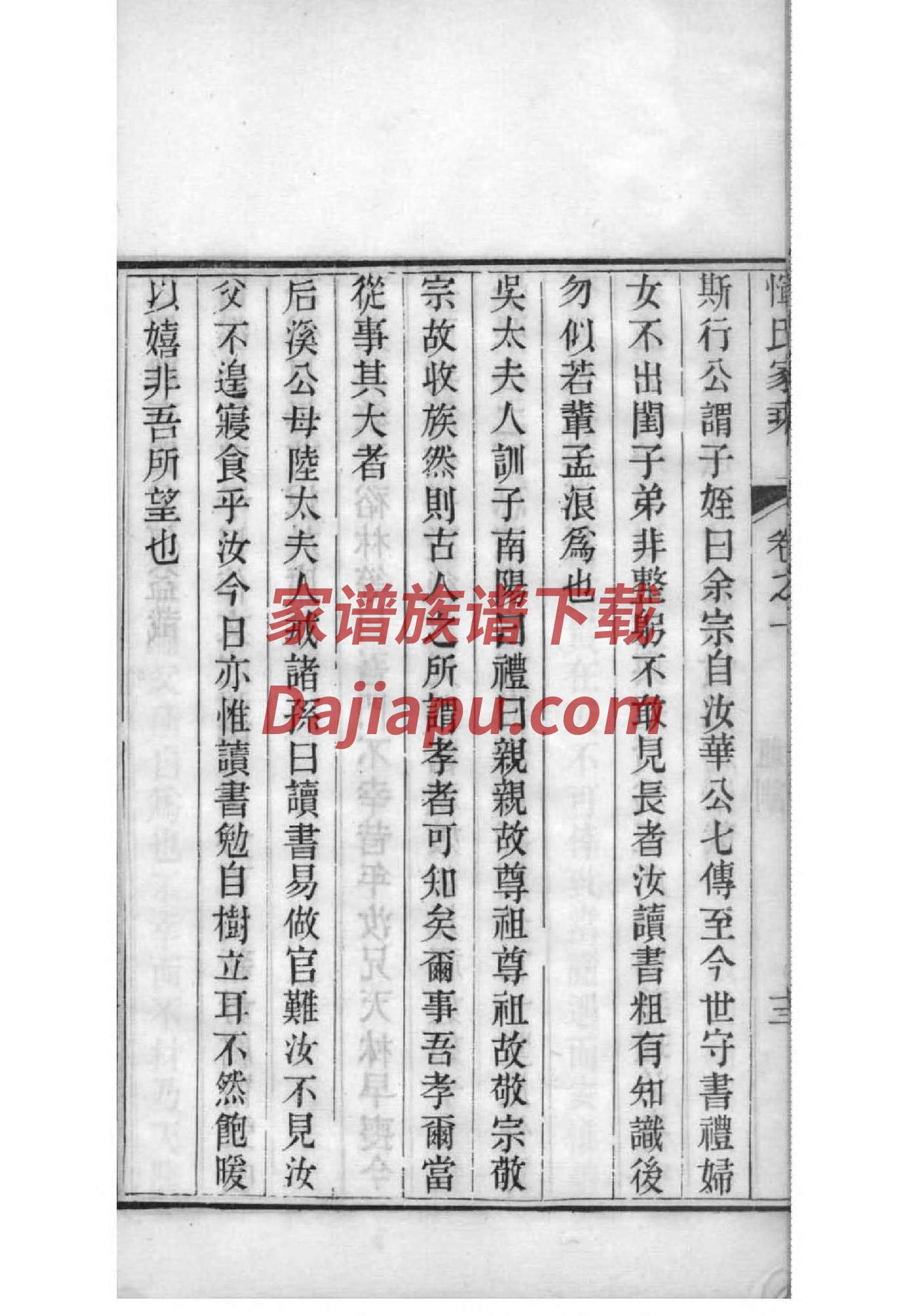 杨氏家谱28个字辈