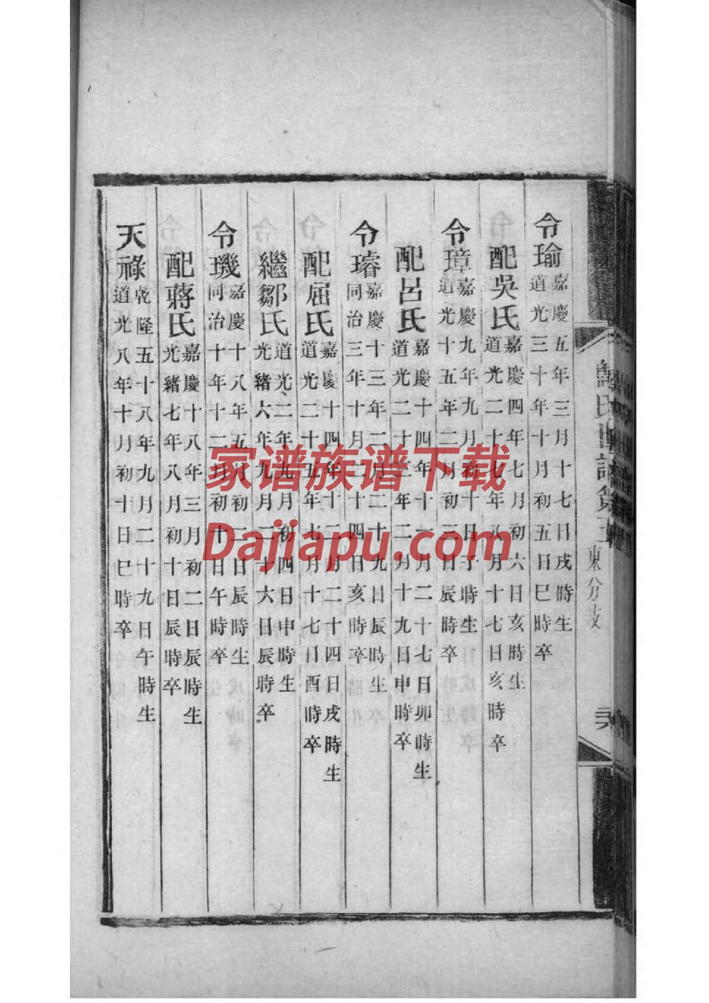 越姓辈分排行世系表
