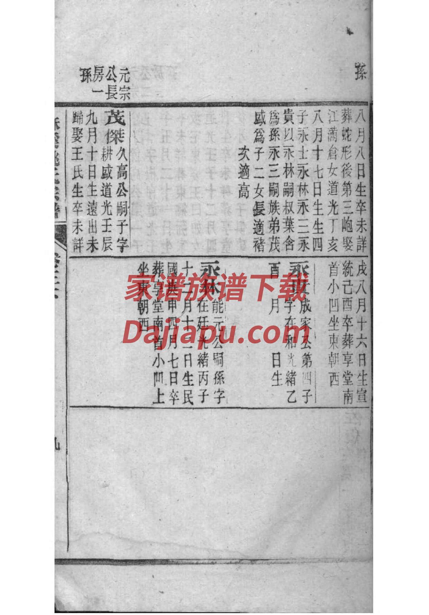 家谱族谱大全