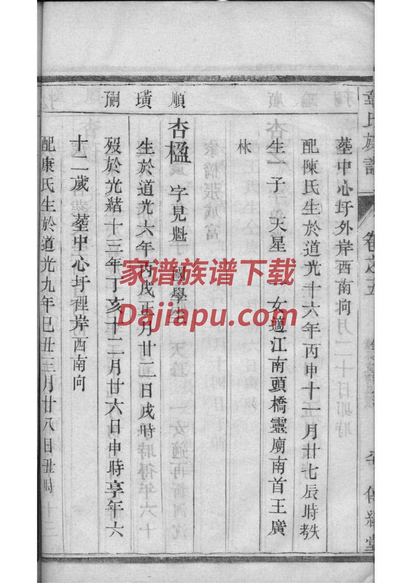 家谱出版需要多少钱