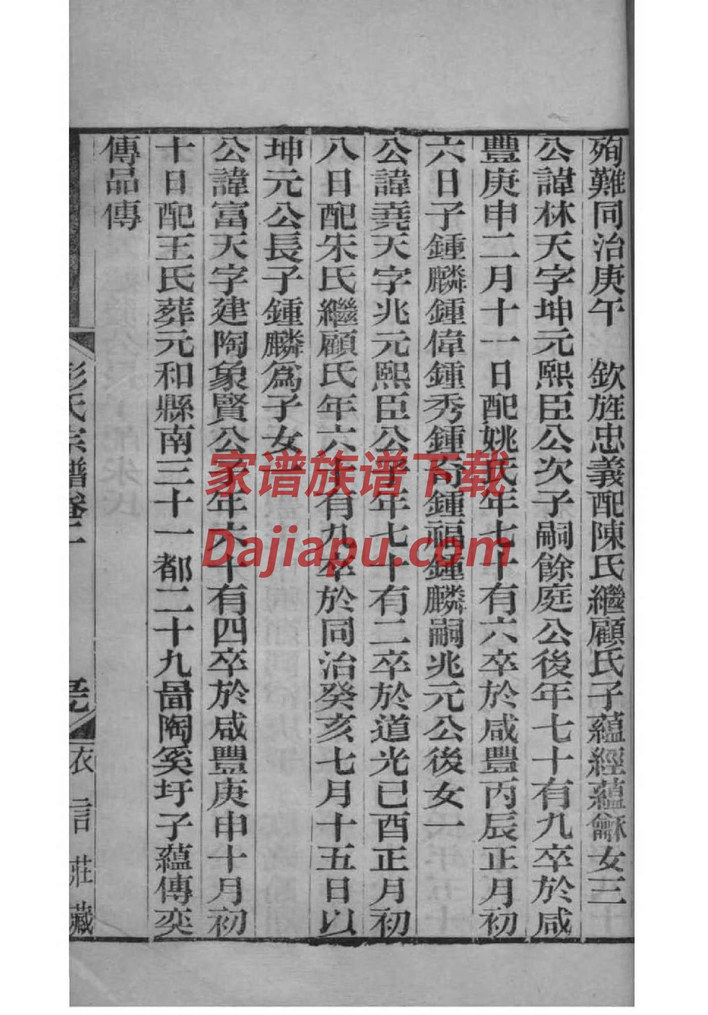 圣姓族谱字辈查询全部