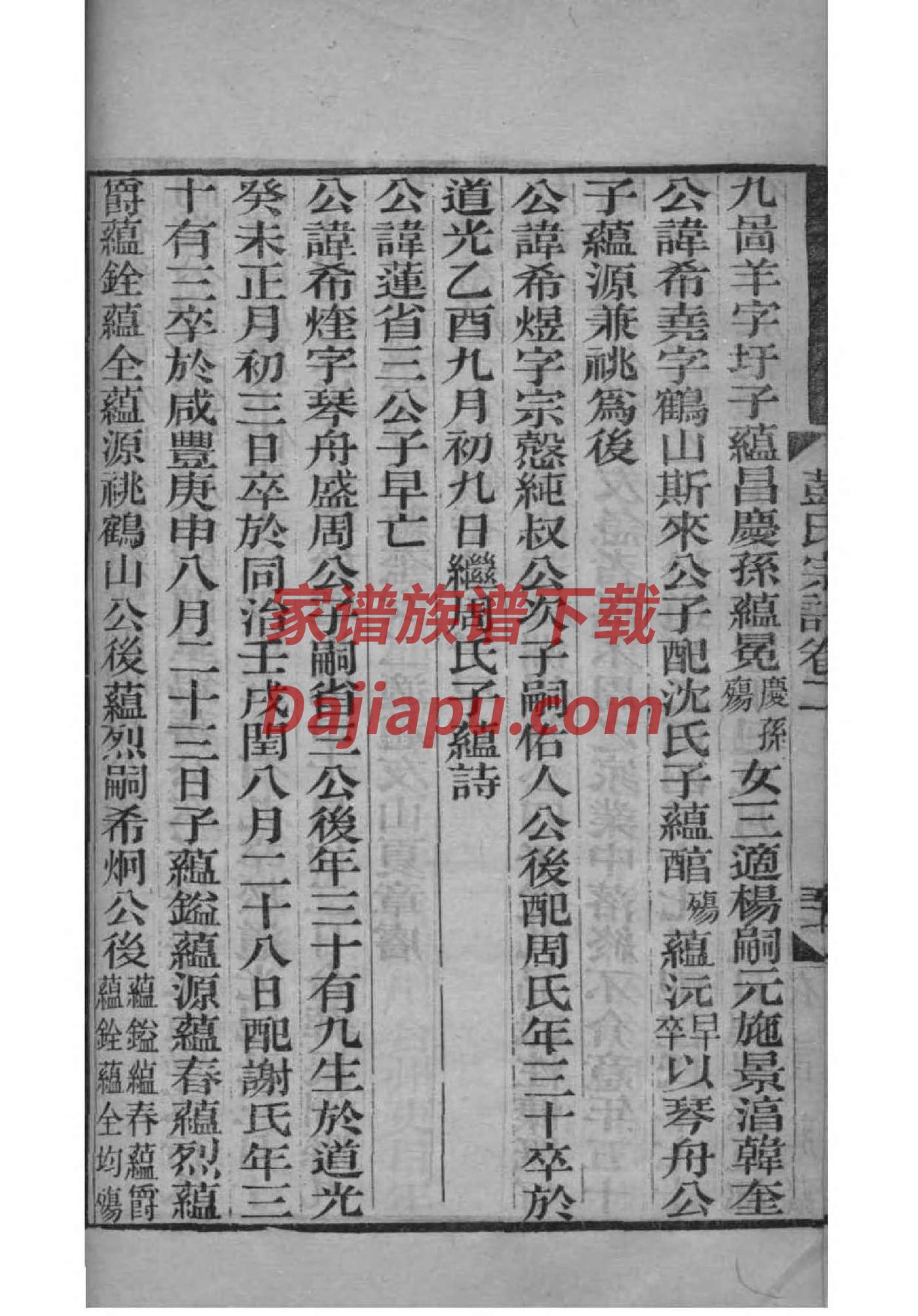 甘肃王氏家谱查询