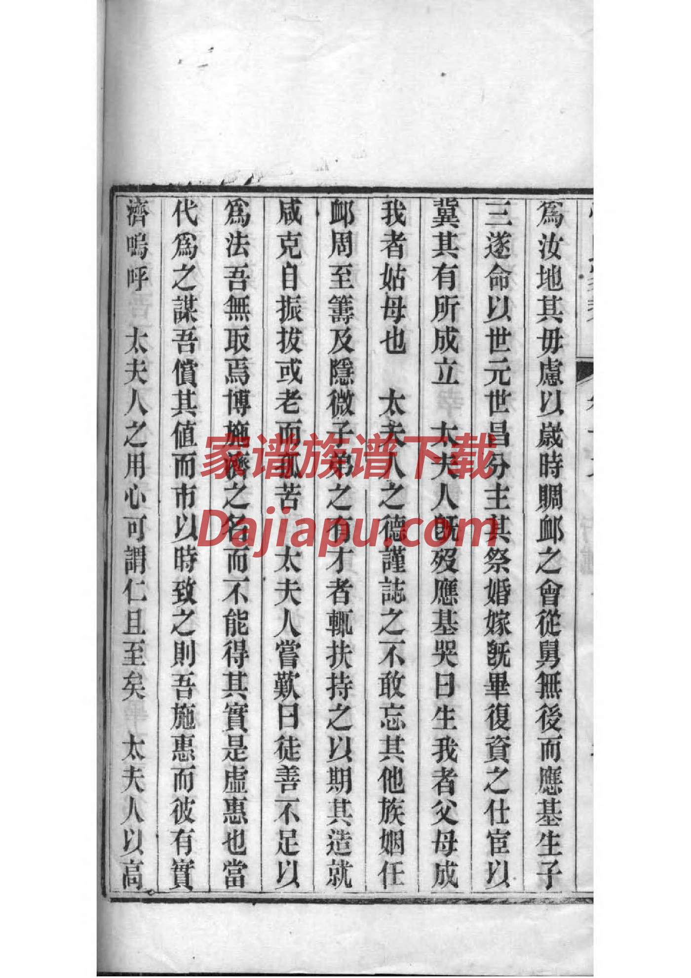 寻氏族谱在哪里看