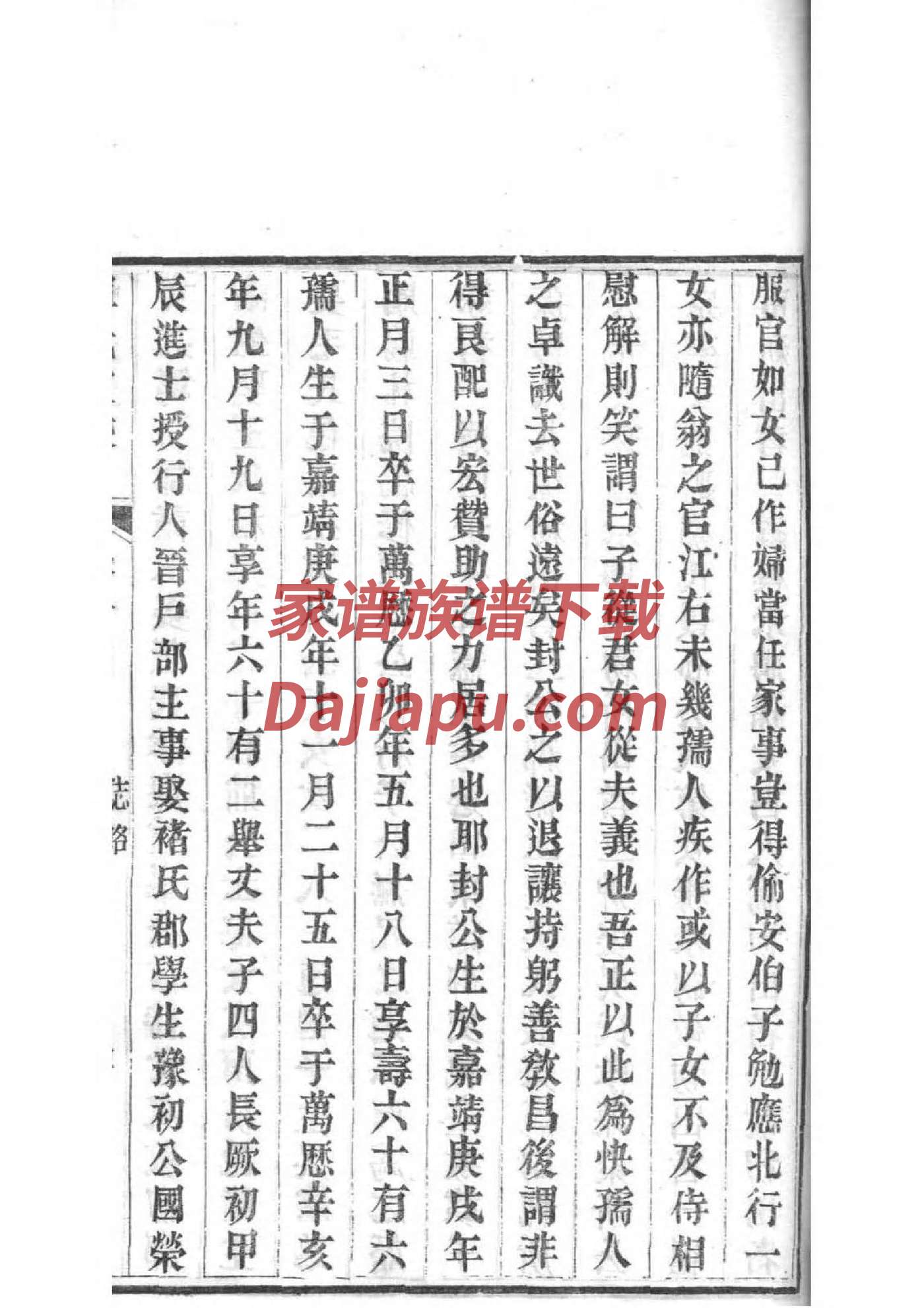 家族谱称呼