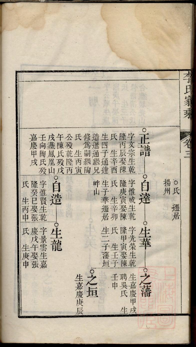 家谱是啥