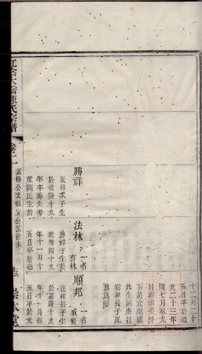家谱格式样本