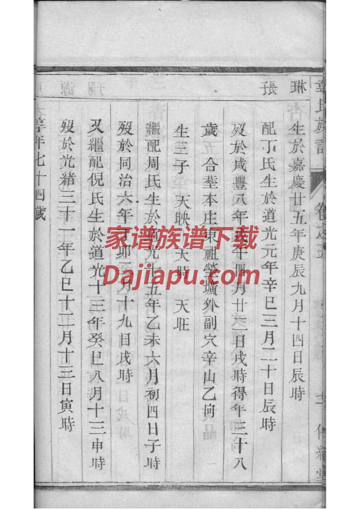 暴姓免费查自己家谱