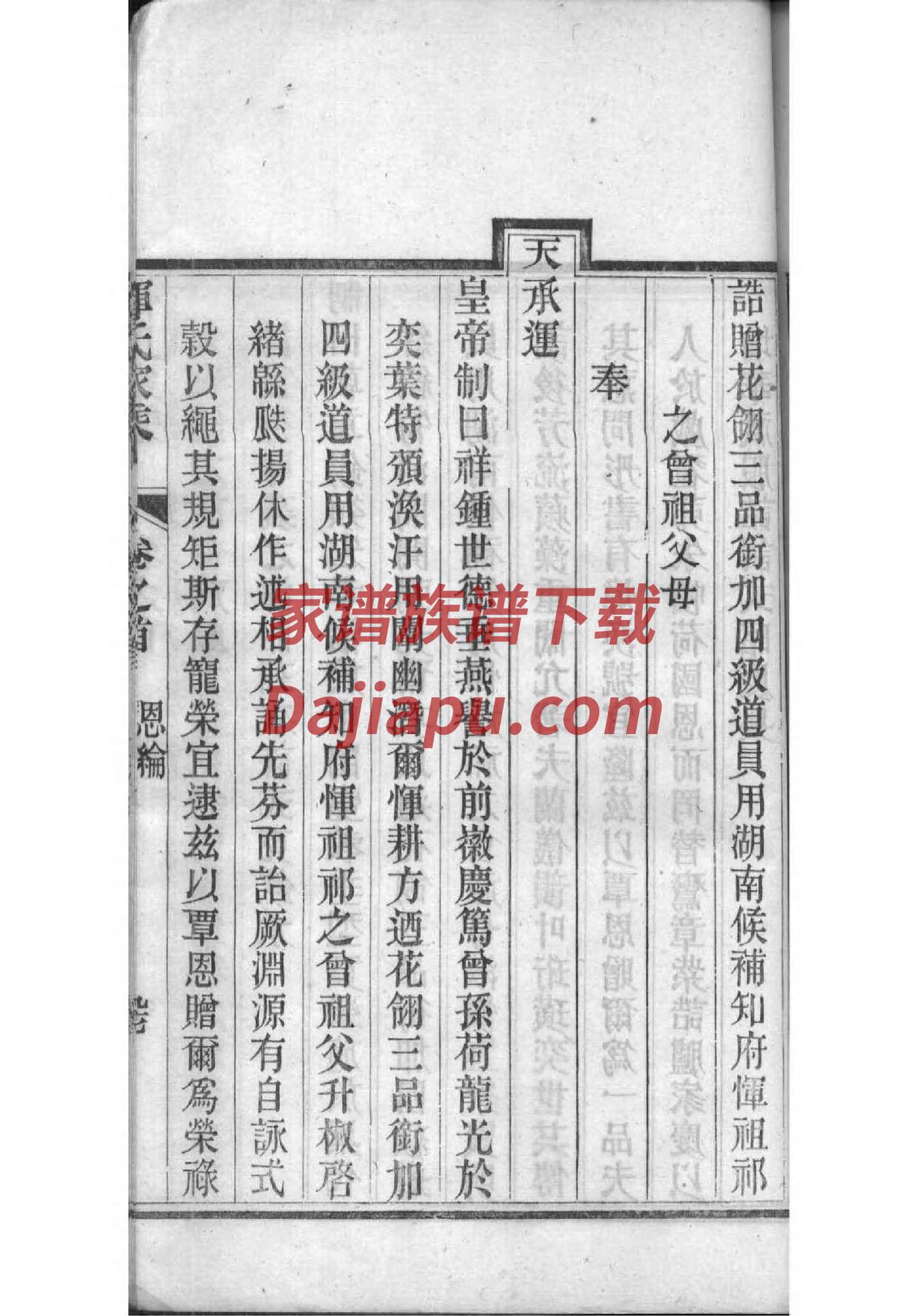 职姓免费查自己家谱