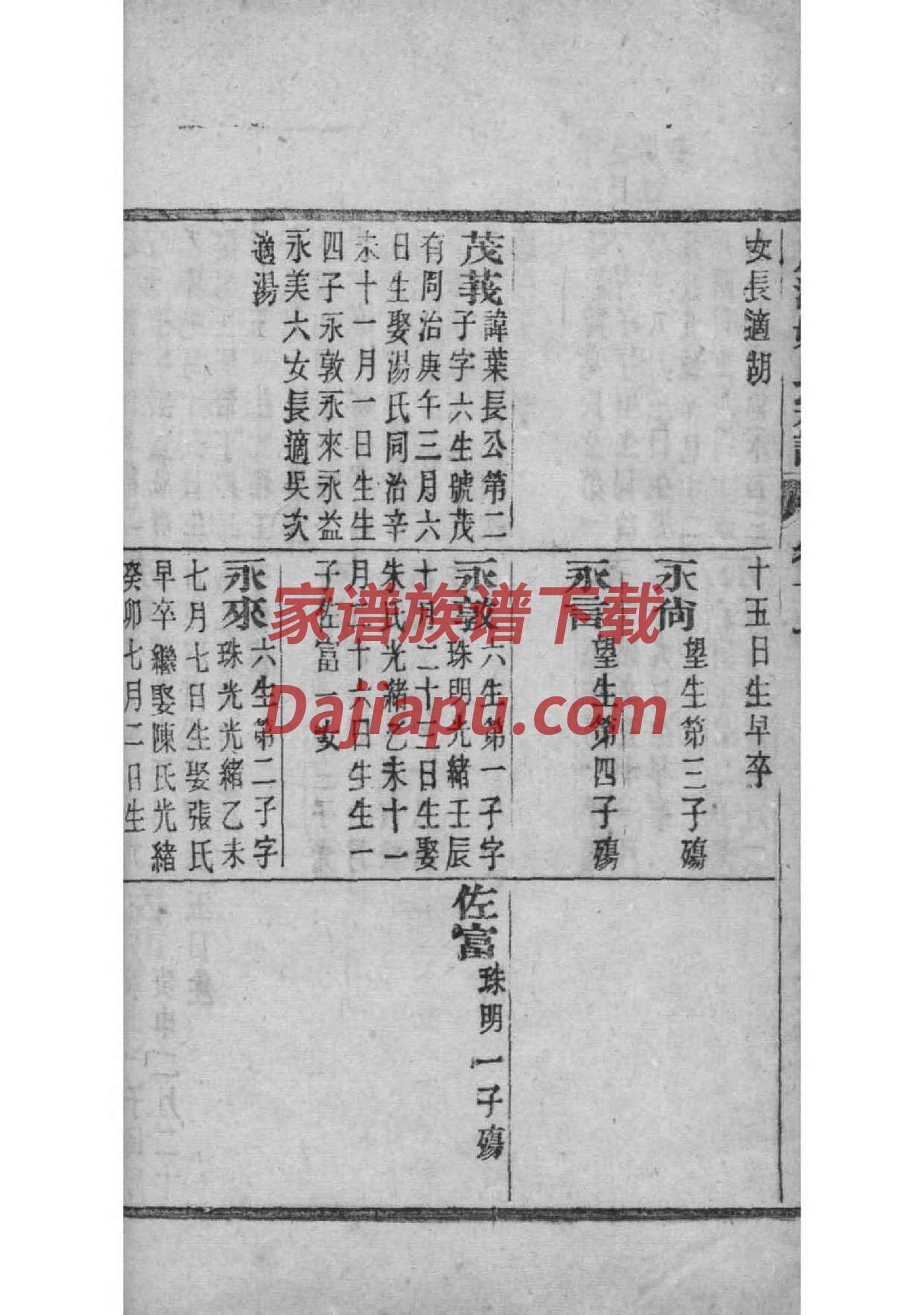 德云家谱大图