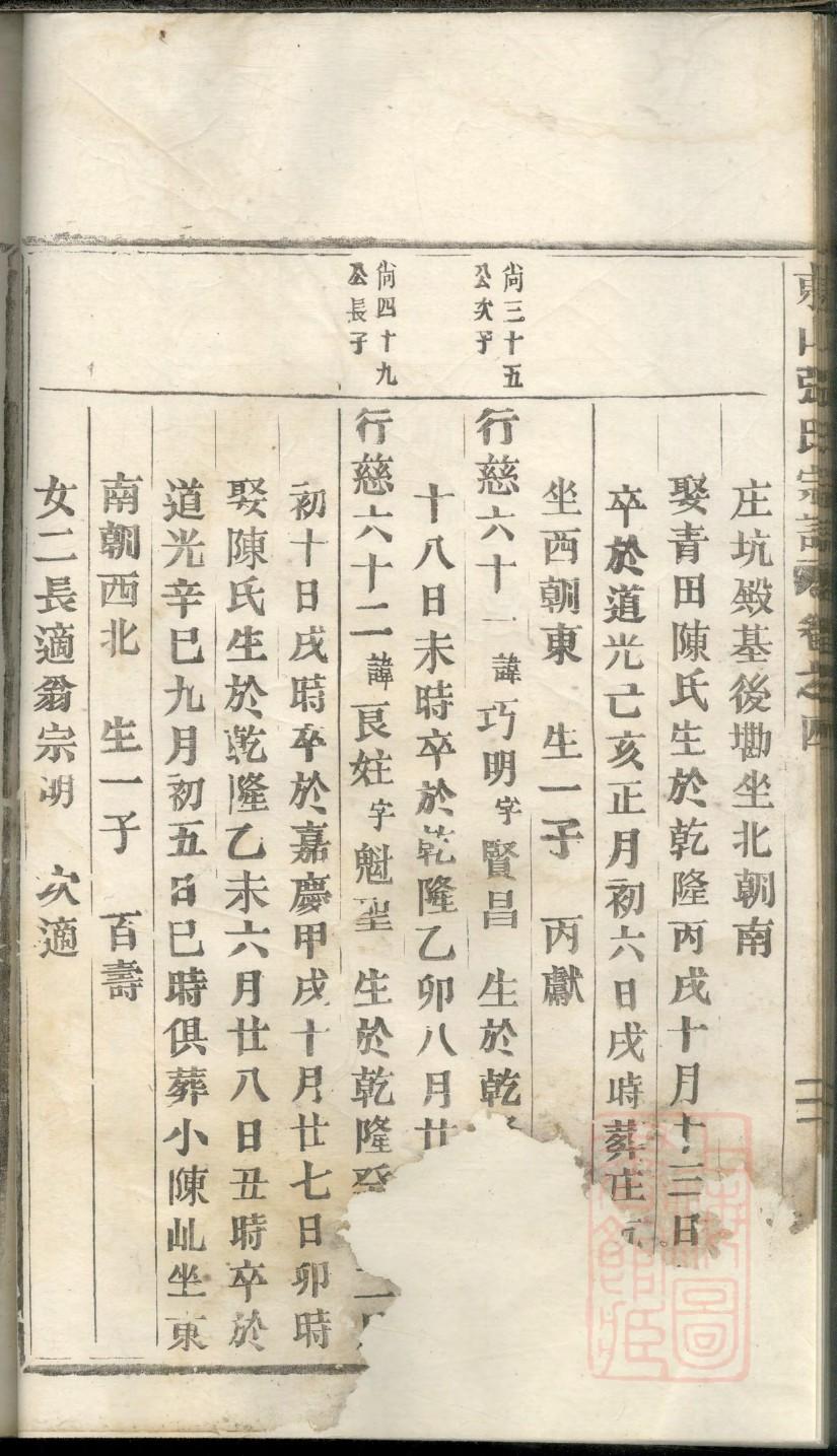 中华义门陈族谱数据库