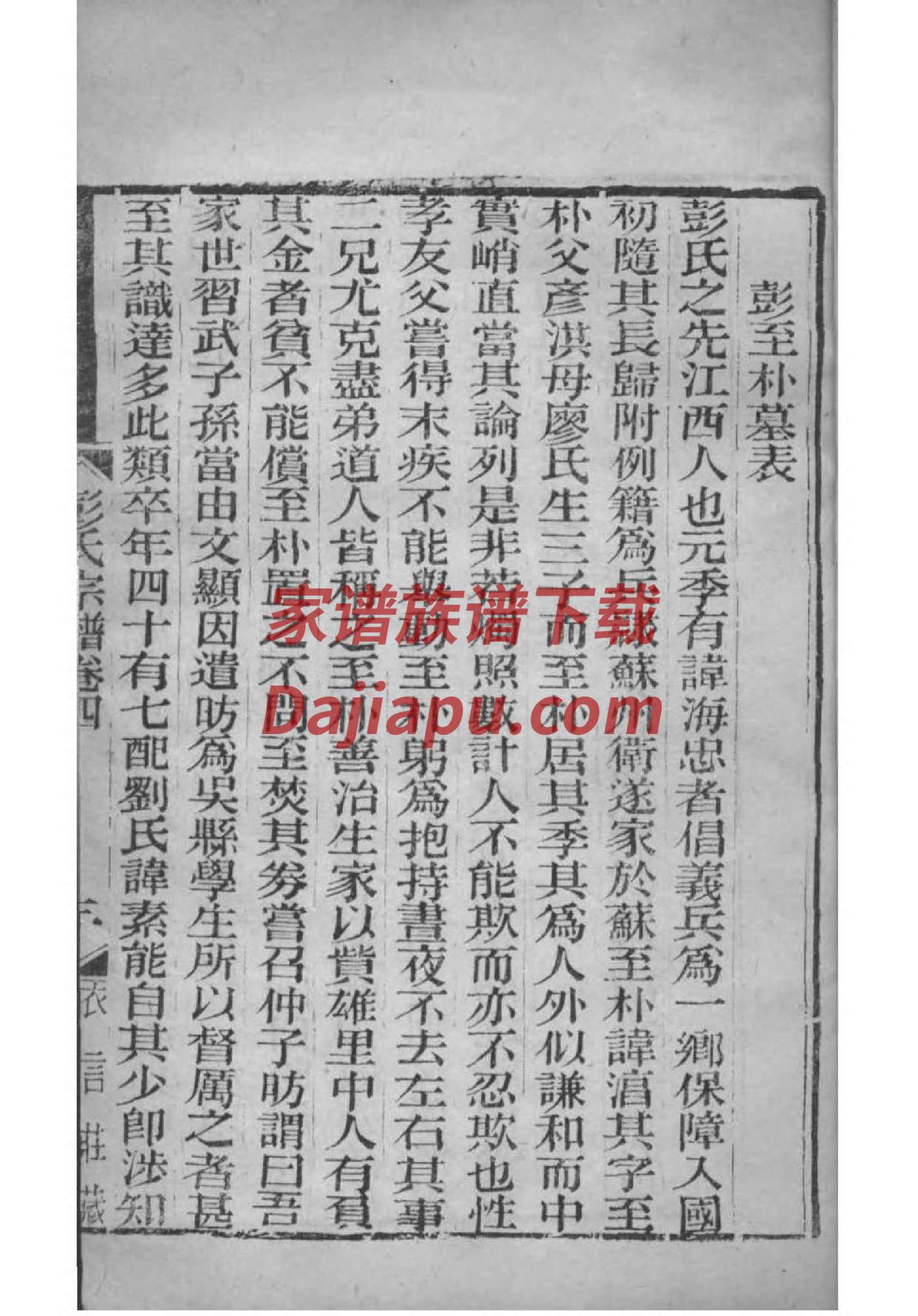 蔡氏族谱在哪里看