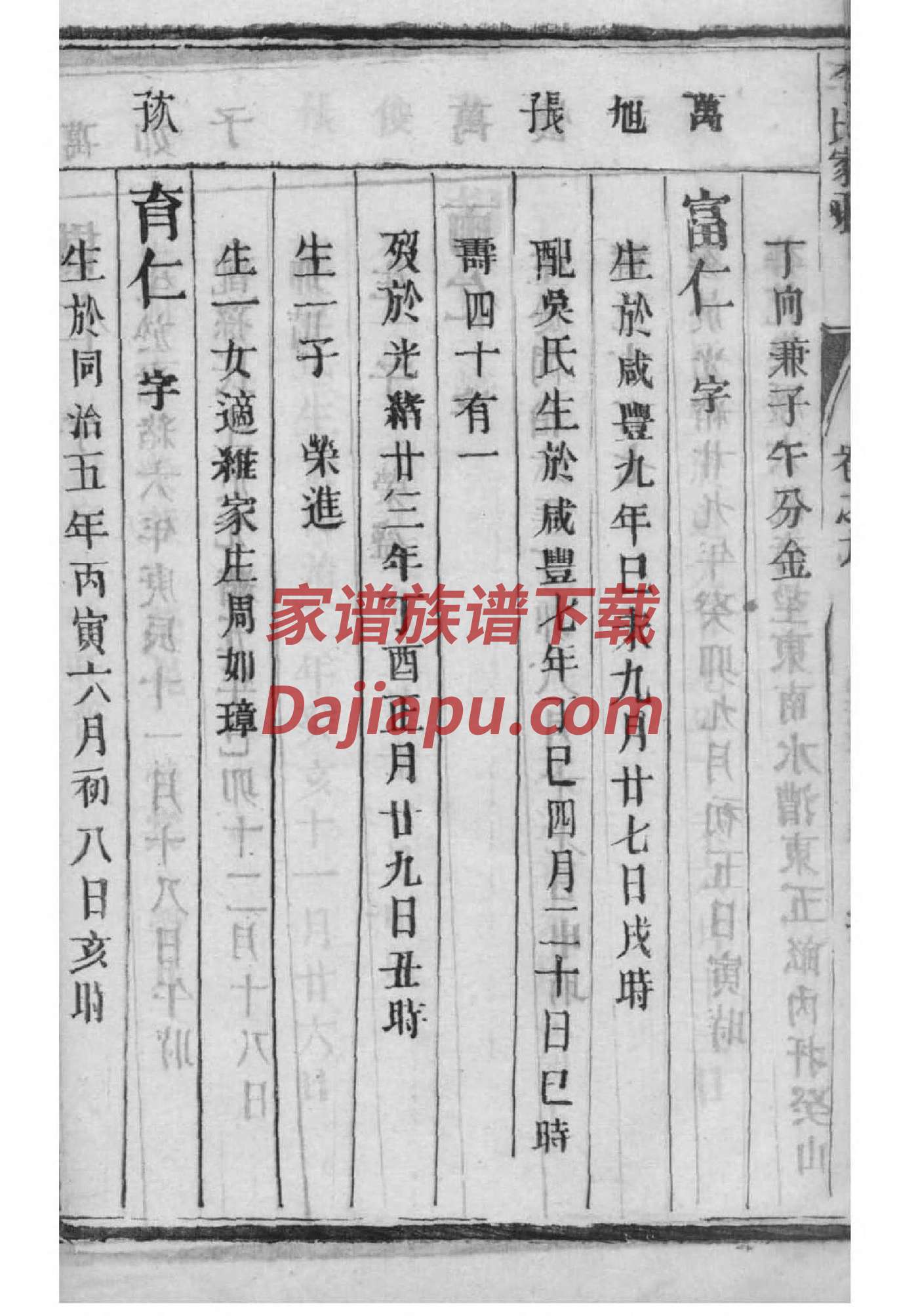 鄞姓族谱字辈查询全部