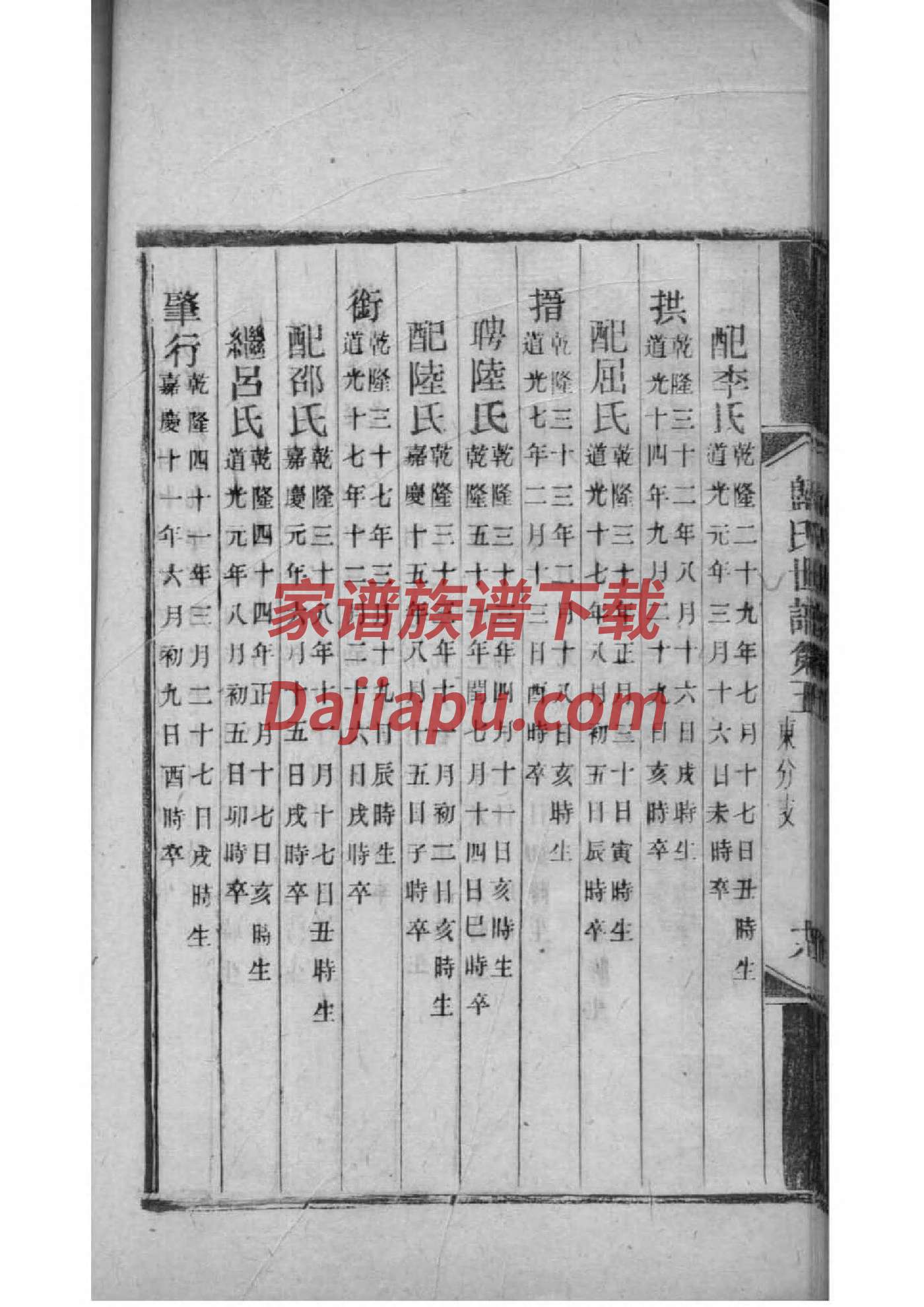 家族家谱图表