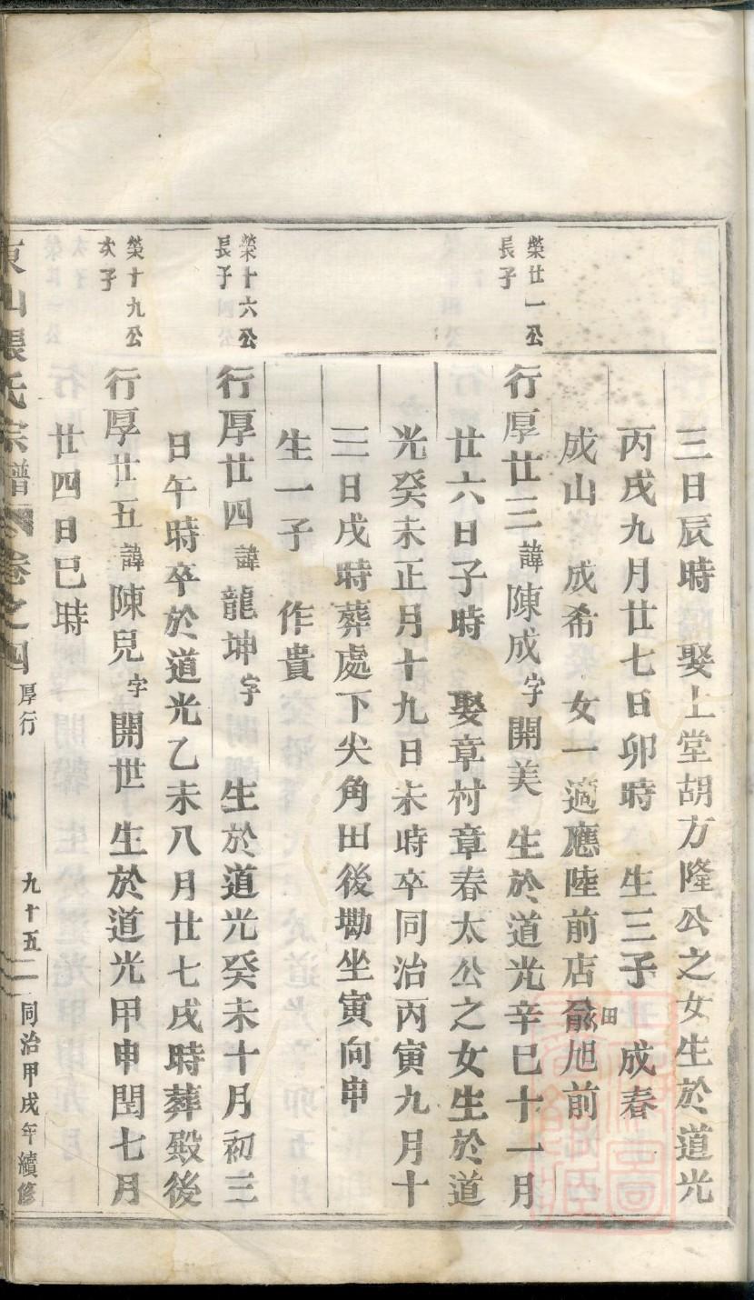 英文家谱手抄报