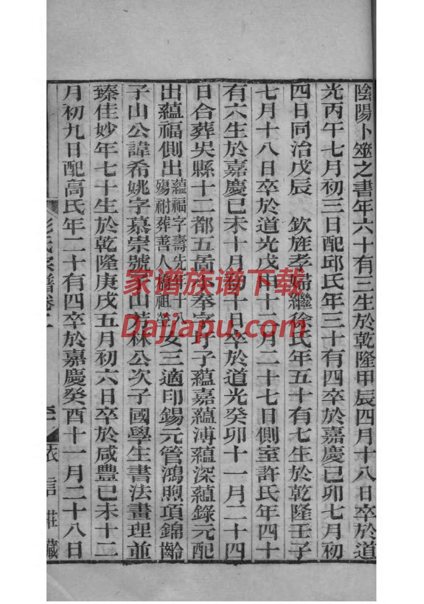 李家家谱有振有德