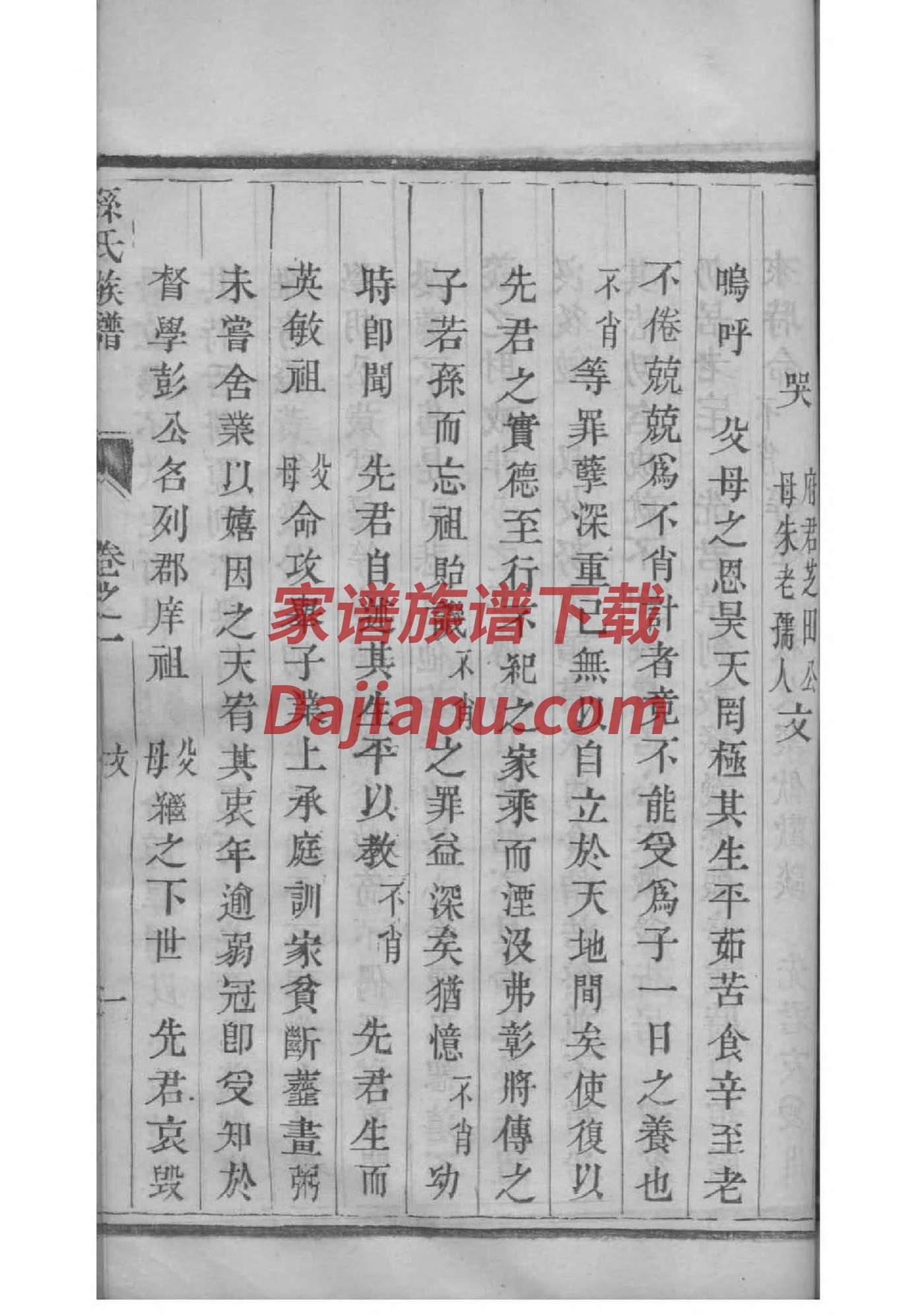 苏氏族谱网上家谱