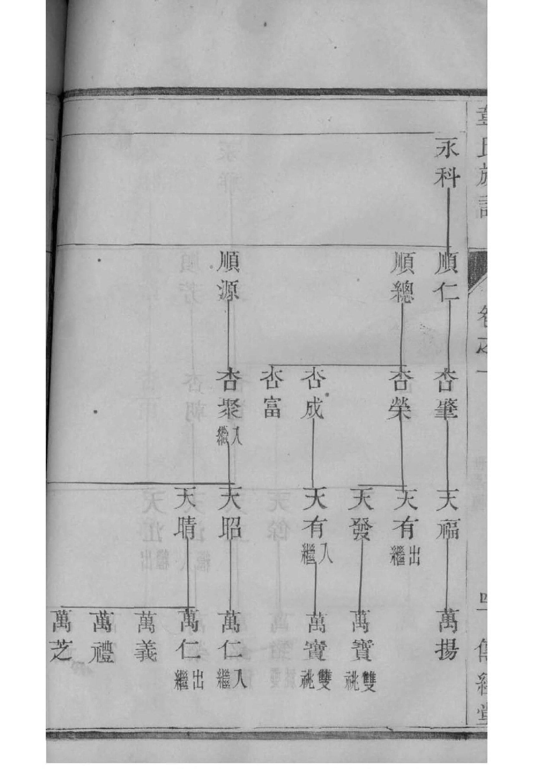 青蛙EXCEL小家谱