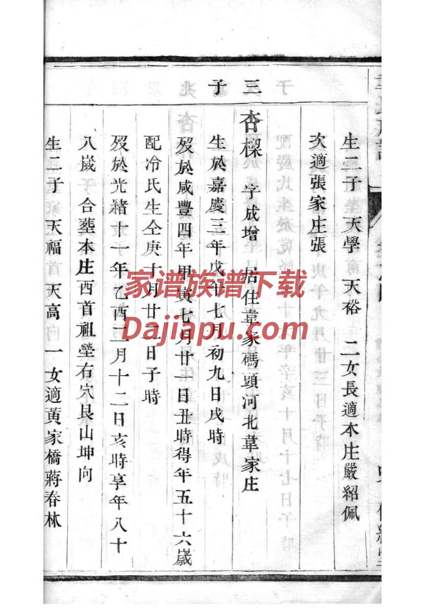 怎样看家谱