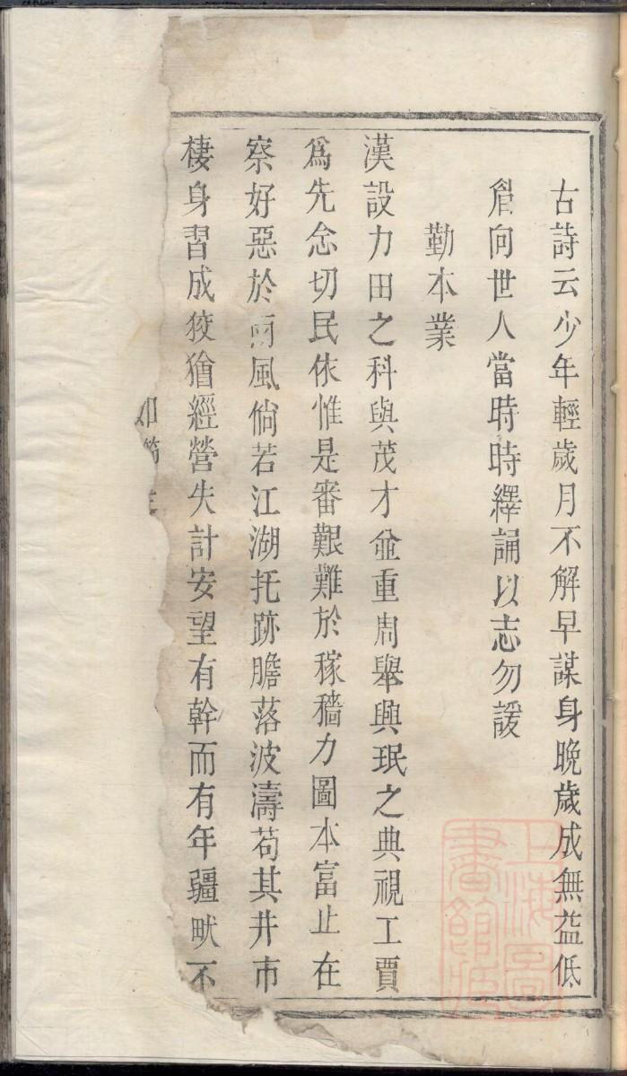 斯氏家谱族谱数据库