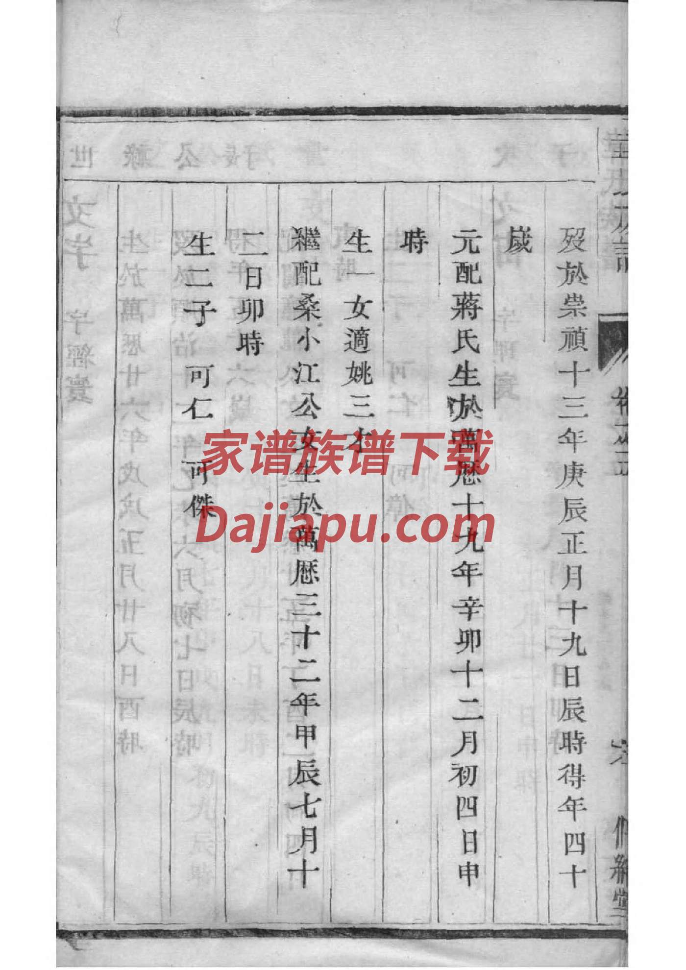 杨氏族谱全部