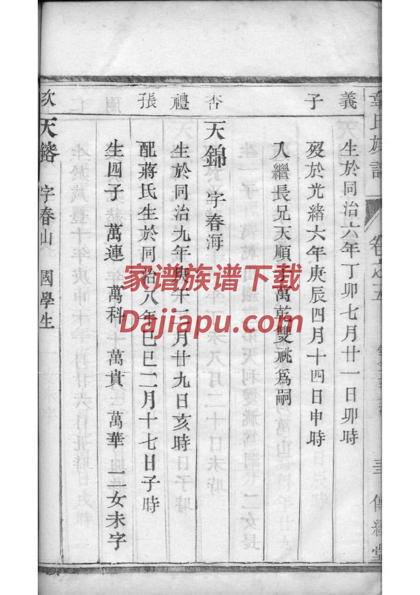 陶氏家族家谱遂宁