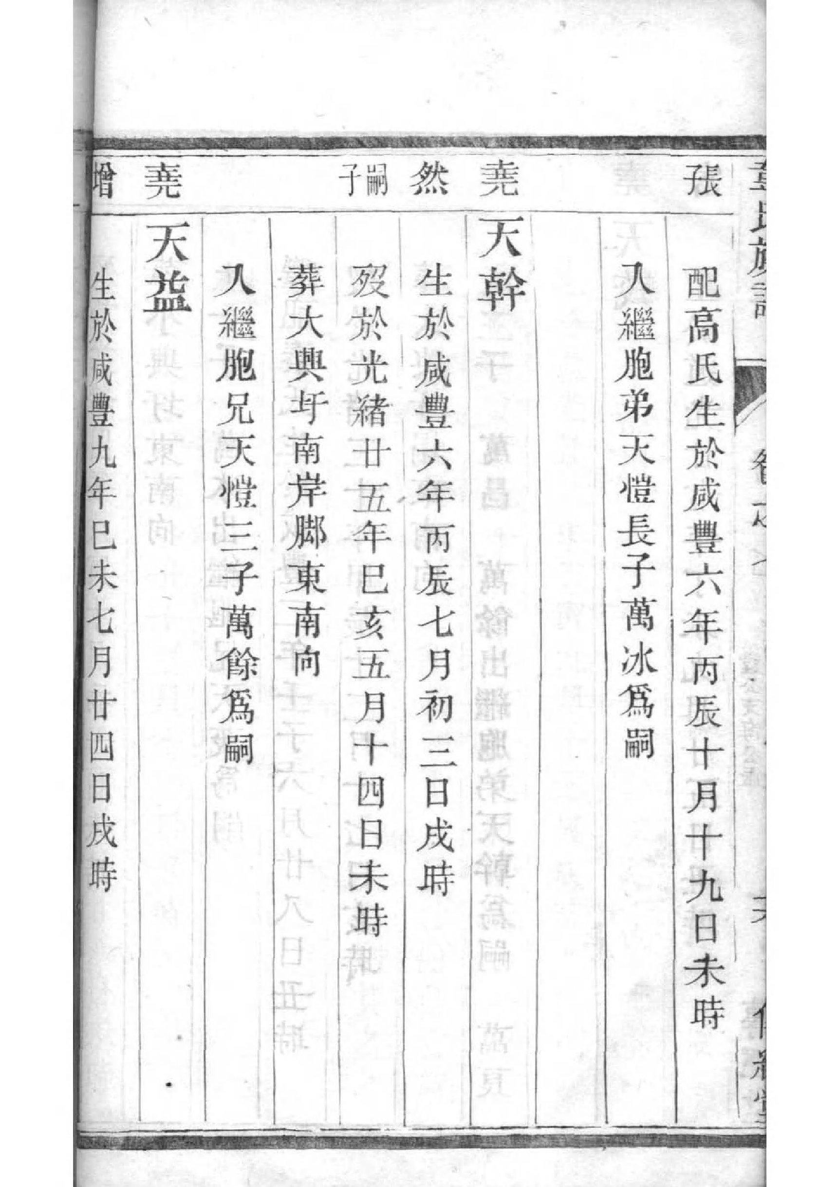 金氏家谱价格