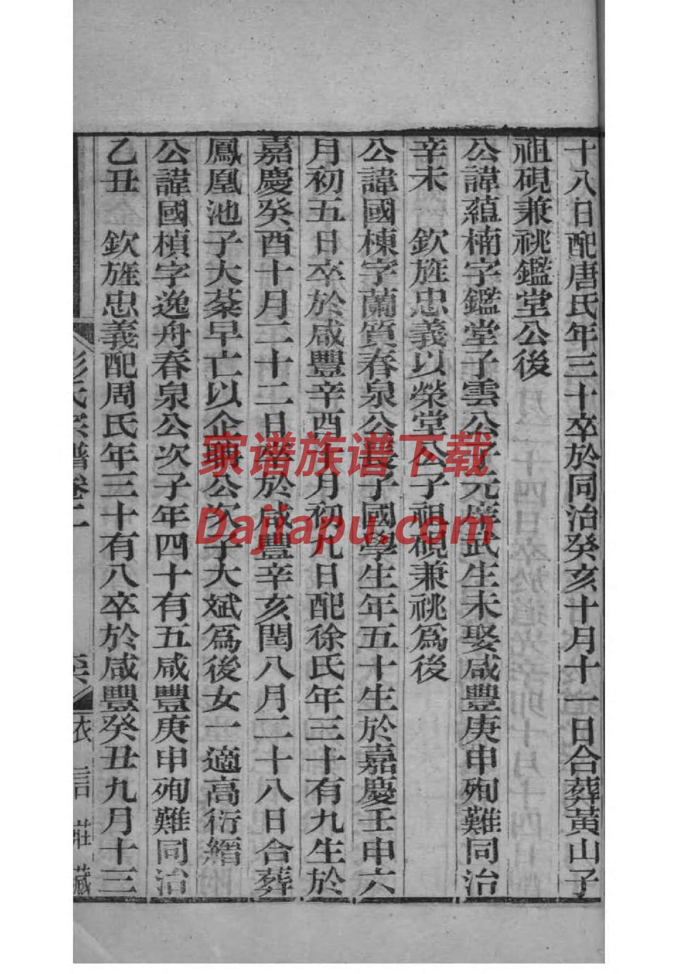 礼姓族谱字辈排行