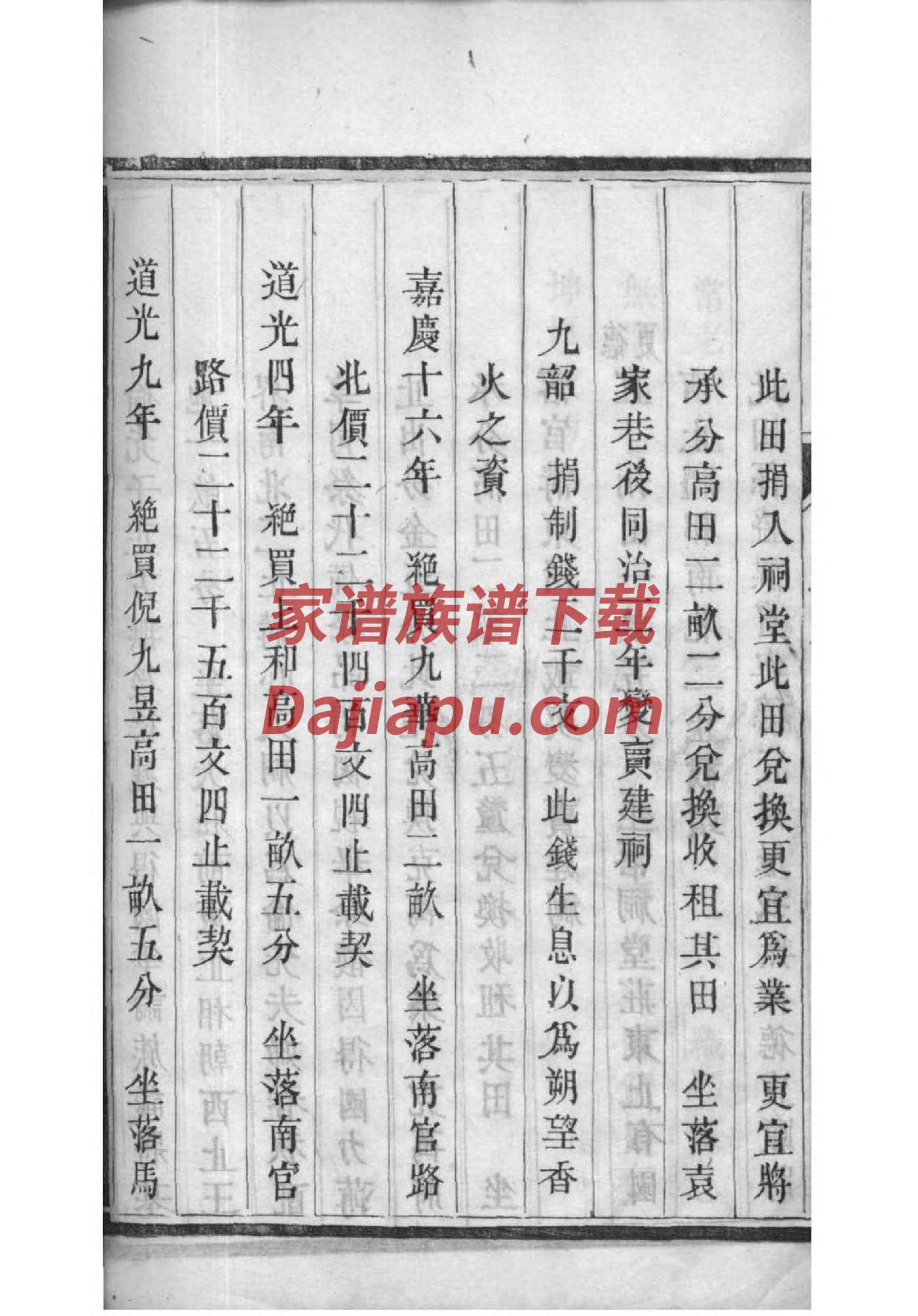 谌氏家谱族谱数据库
