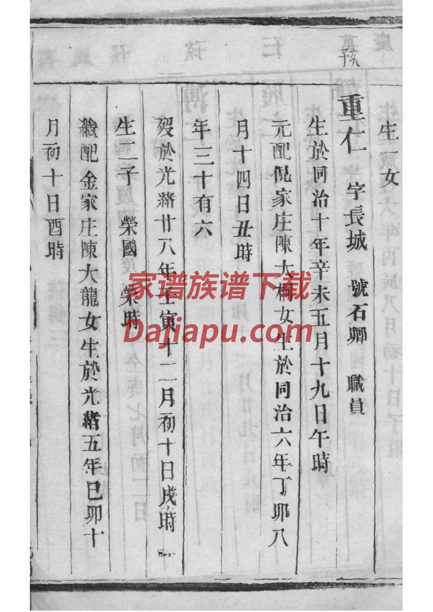 商丘乔氏家谱图