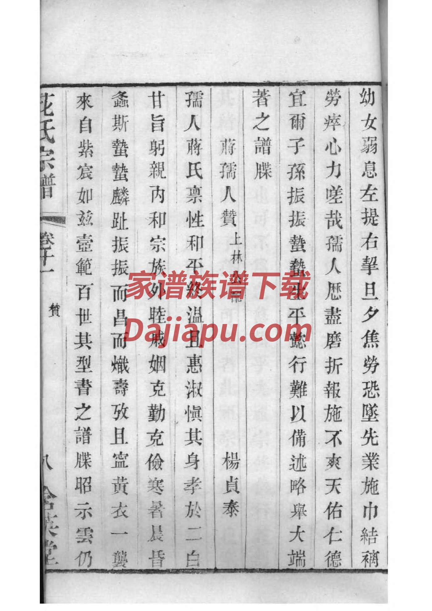 家谱相册