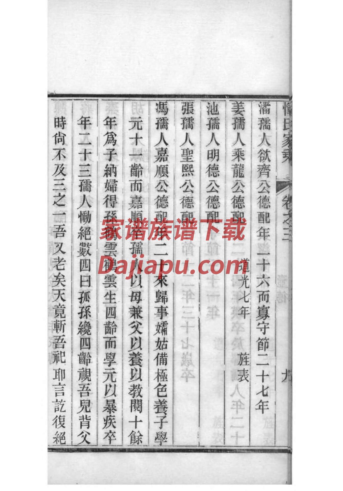 家谱规格