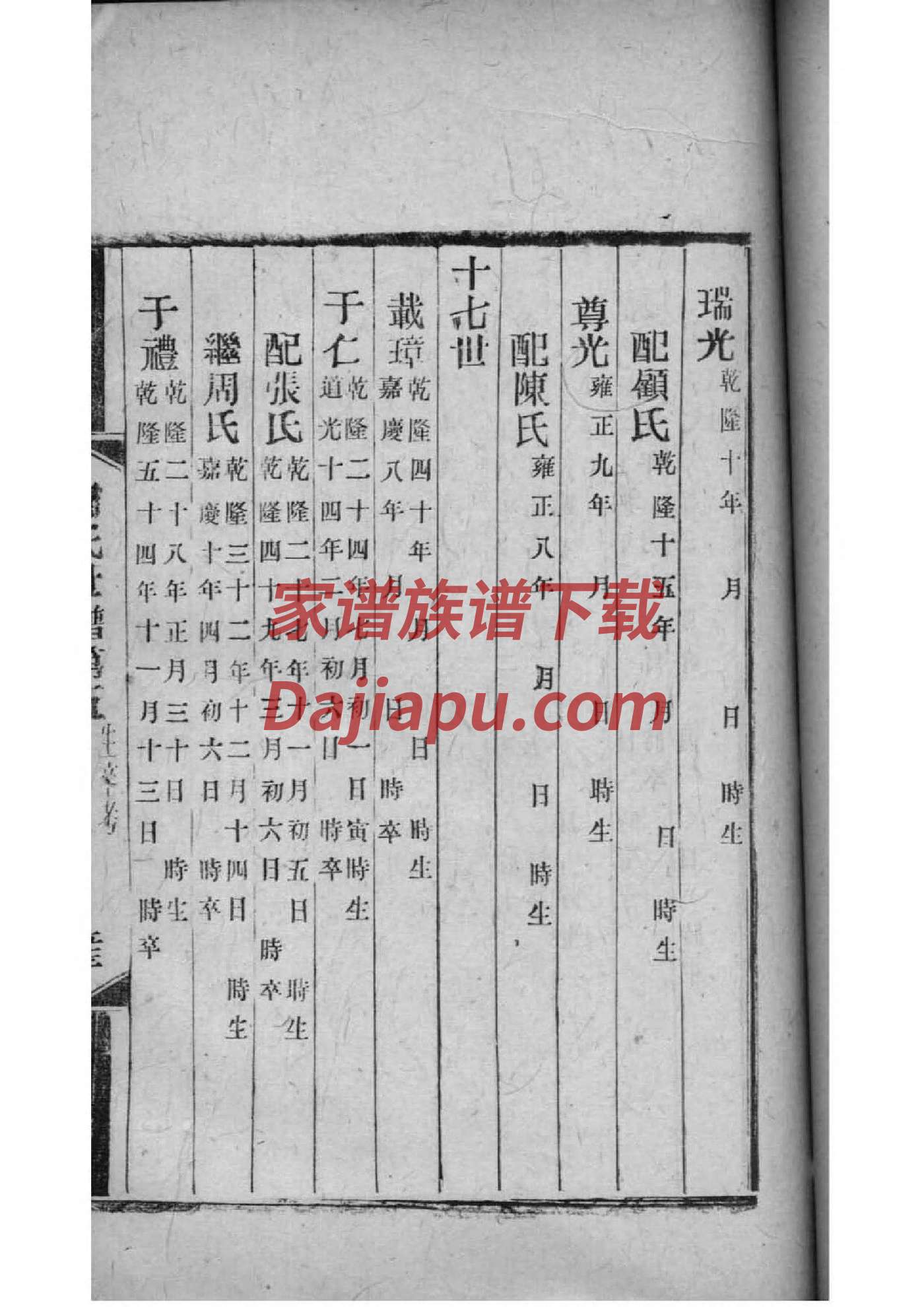 家谱树图片