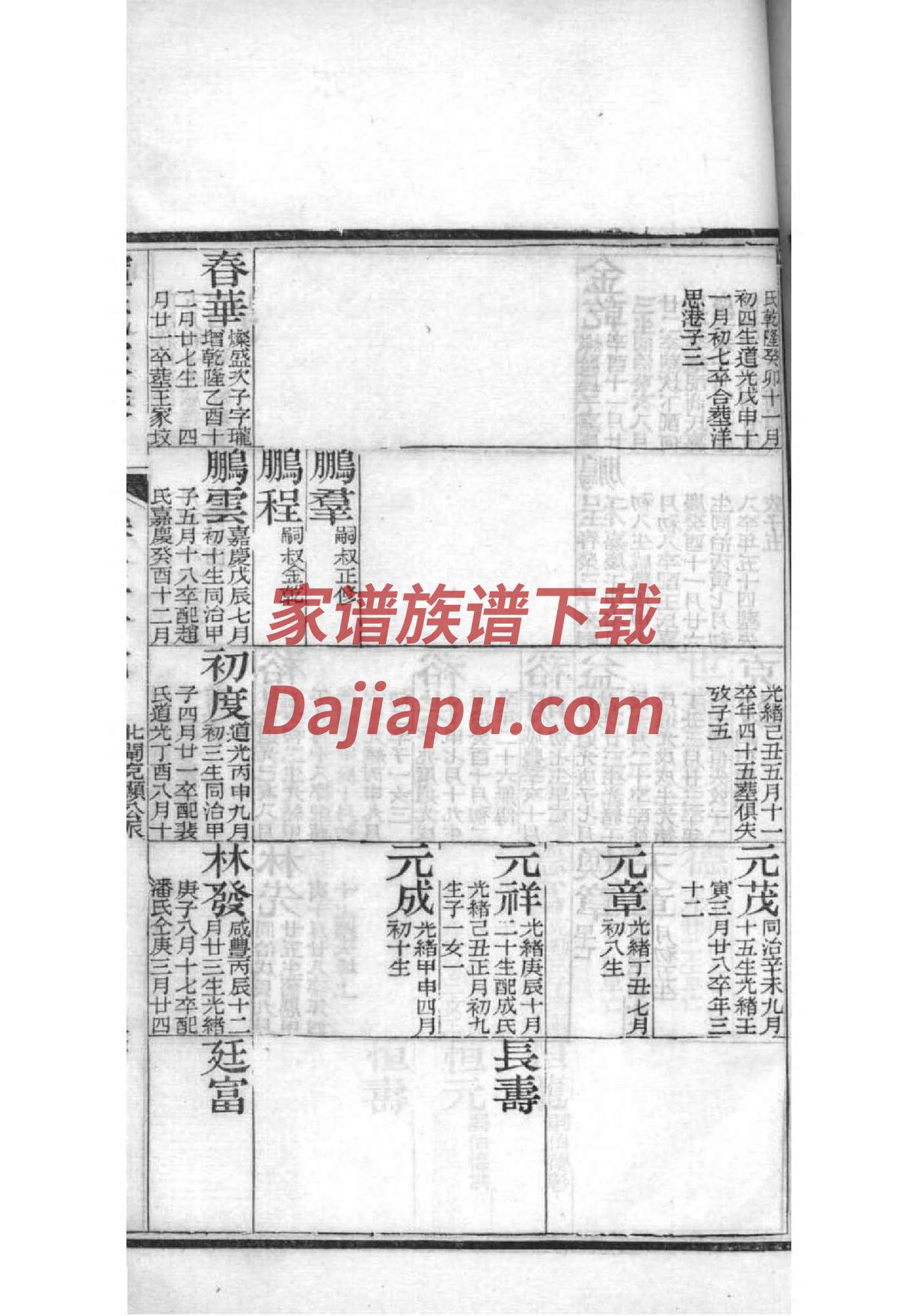 孙氏家谱政字辈德卫