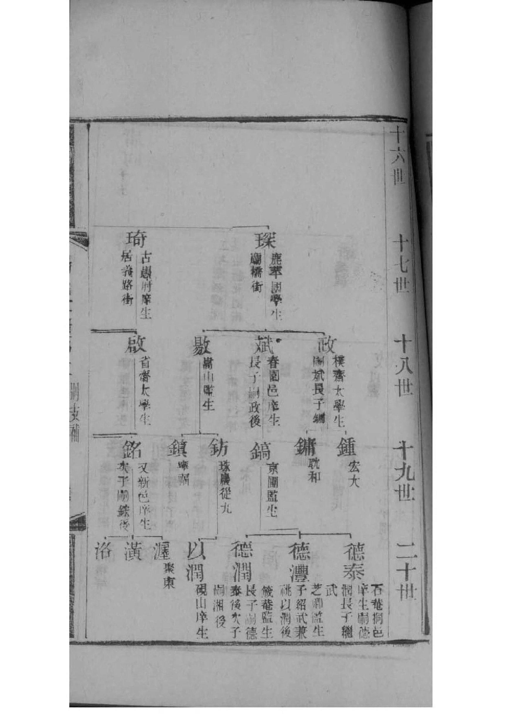 桂姓辈分排行世系表