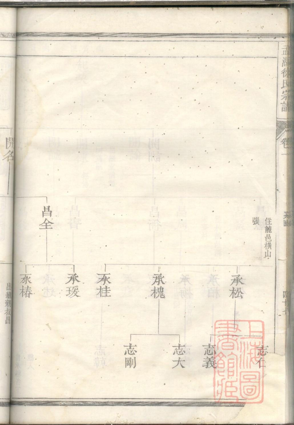 王氏家谱显学洪