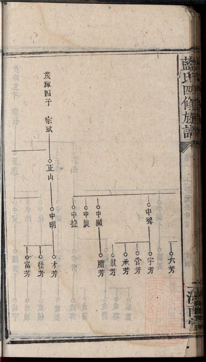 丰姓辈分排行世系表
