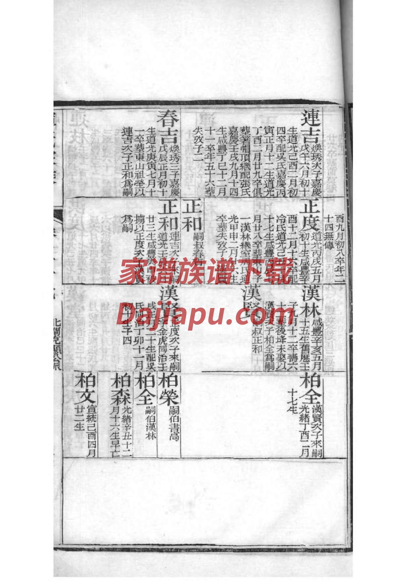 姚氏族谱在哪里