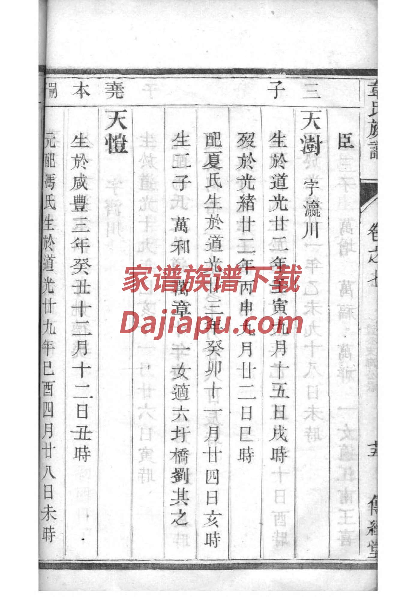 黄陂雷士家谱