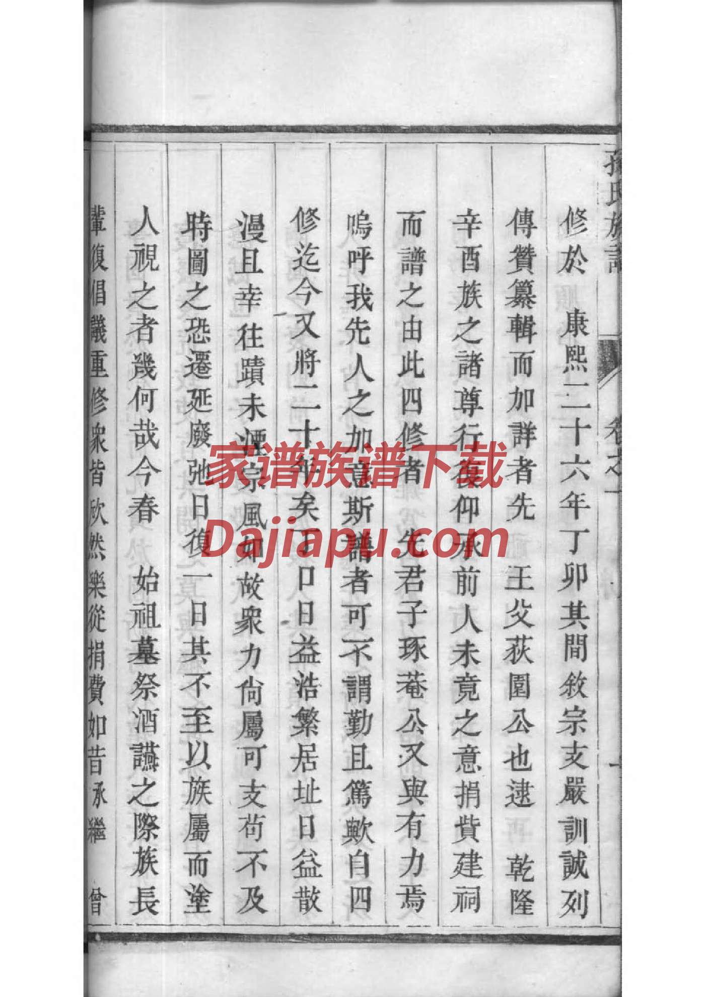 仁和乡龙凤村王氏家谱