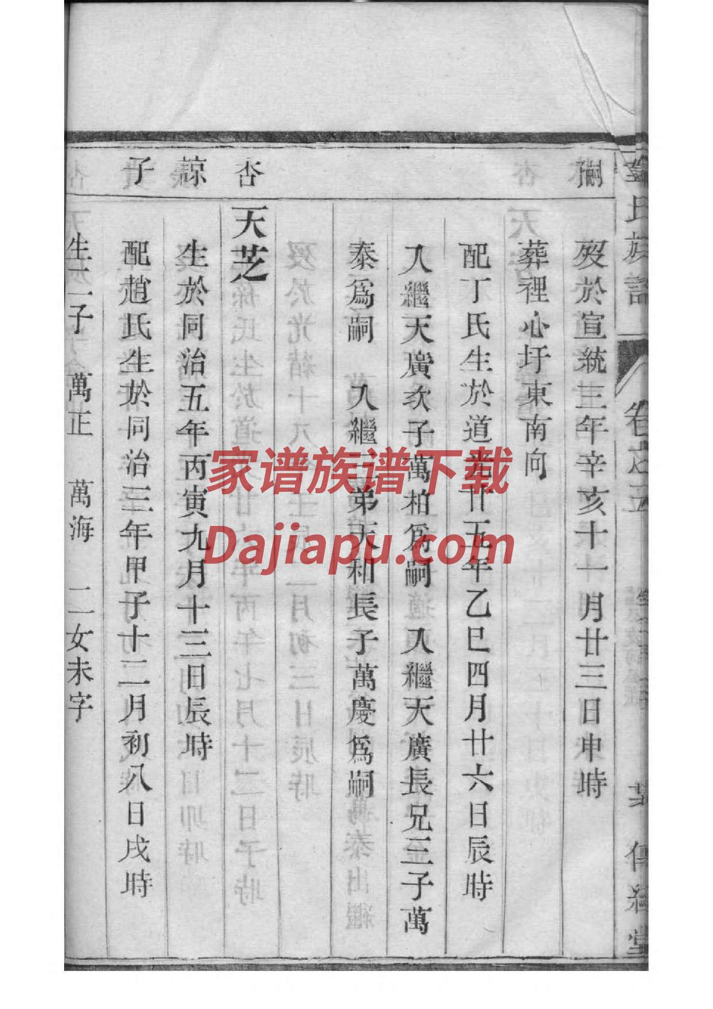 接氏字辈介绍