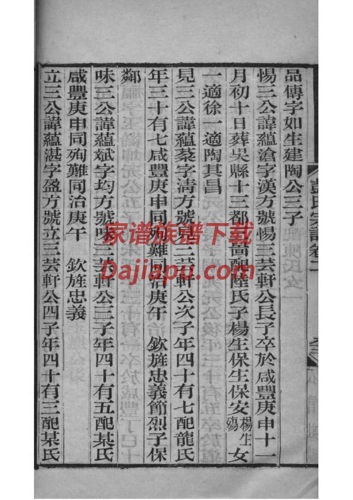 族谱怎么编制
