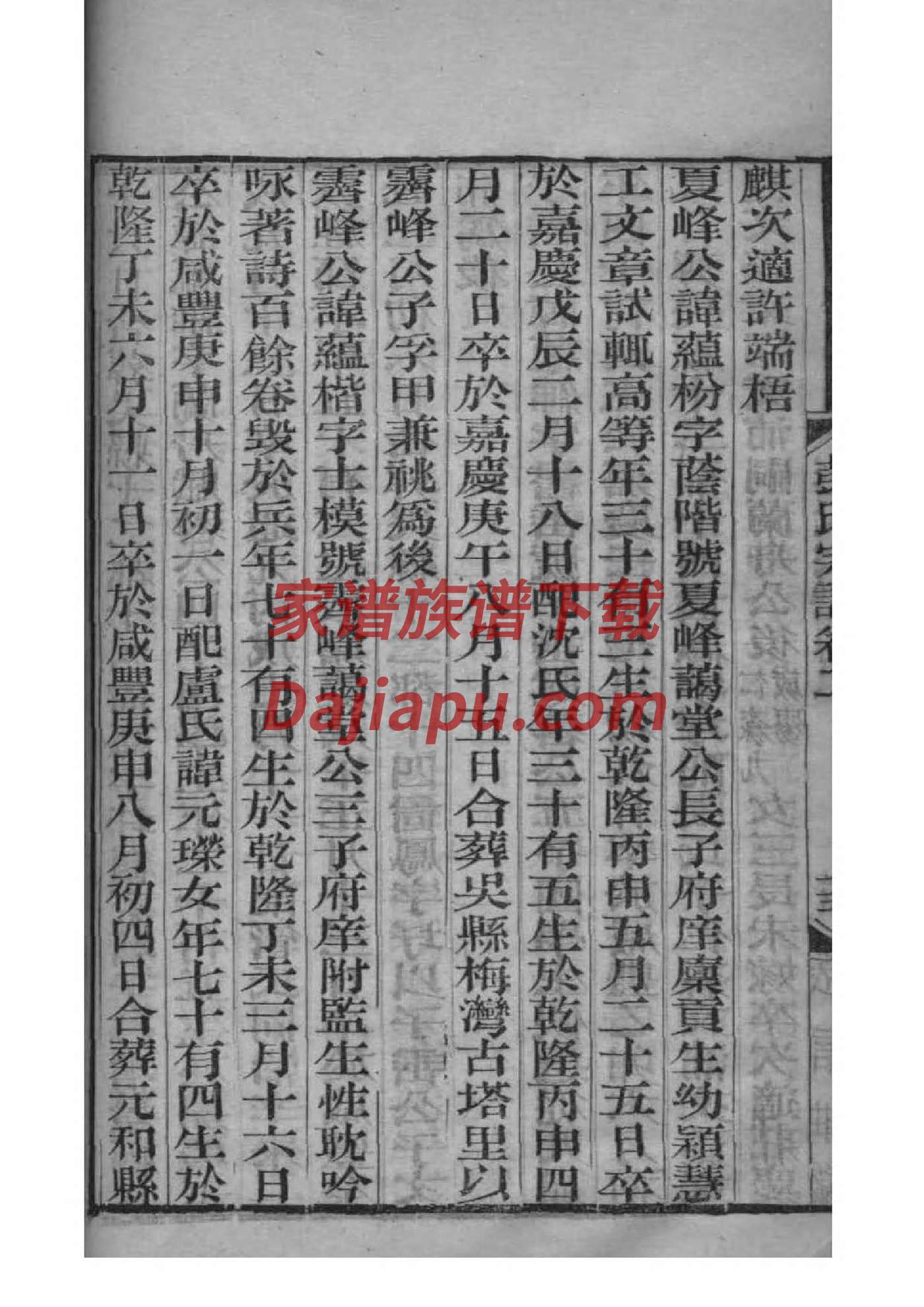 茅台家谱酒喝
